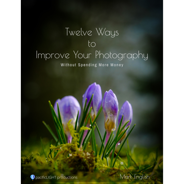 Photography tips cover with blooming purple flowers.